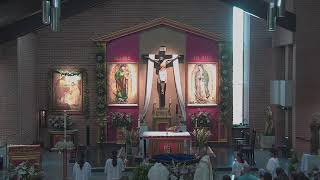 Misa Dominical - Domingo de Divina Misericordia - 12 de abril del 2026