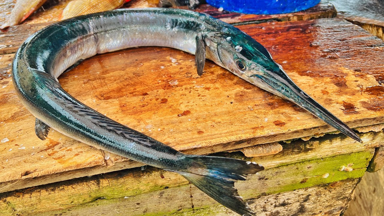 Long Gar Fish Cutting Skill Fastest Tuna Fish Cutting Skill