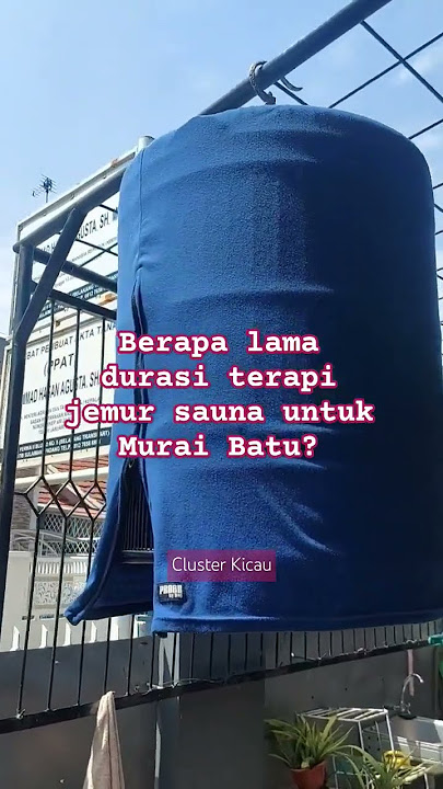 Jemur Sauna Murai Batu yang benar berapa lama ya gaes? #muraibatu #kicaumania #birds #pets #terapia