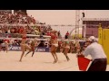 WSOBV 2014 highlights