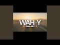 WAH Y GALBY واه ياقلبي SASY X HAMDAN 