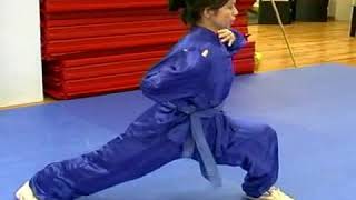 Five Stances of Wushu Profile