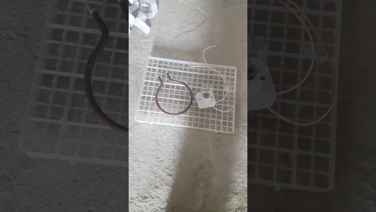 الفرق بين xm18 و zl    المصباح و الرزسطونس   نسبة التفقيس