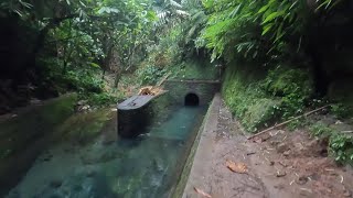 [Bali Karangasem] Tukad Yeh Ning Rendang [Pool, River]