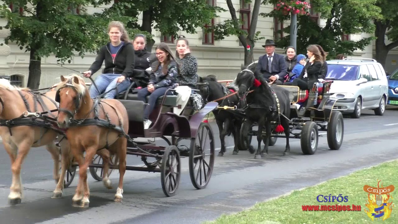 Lovasfelvonulással is emlékeztek a trianoni döntésre Makón