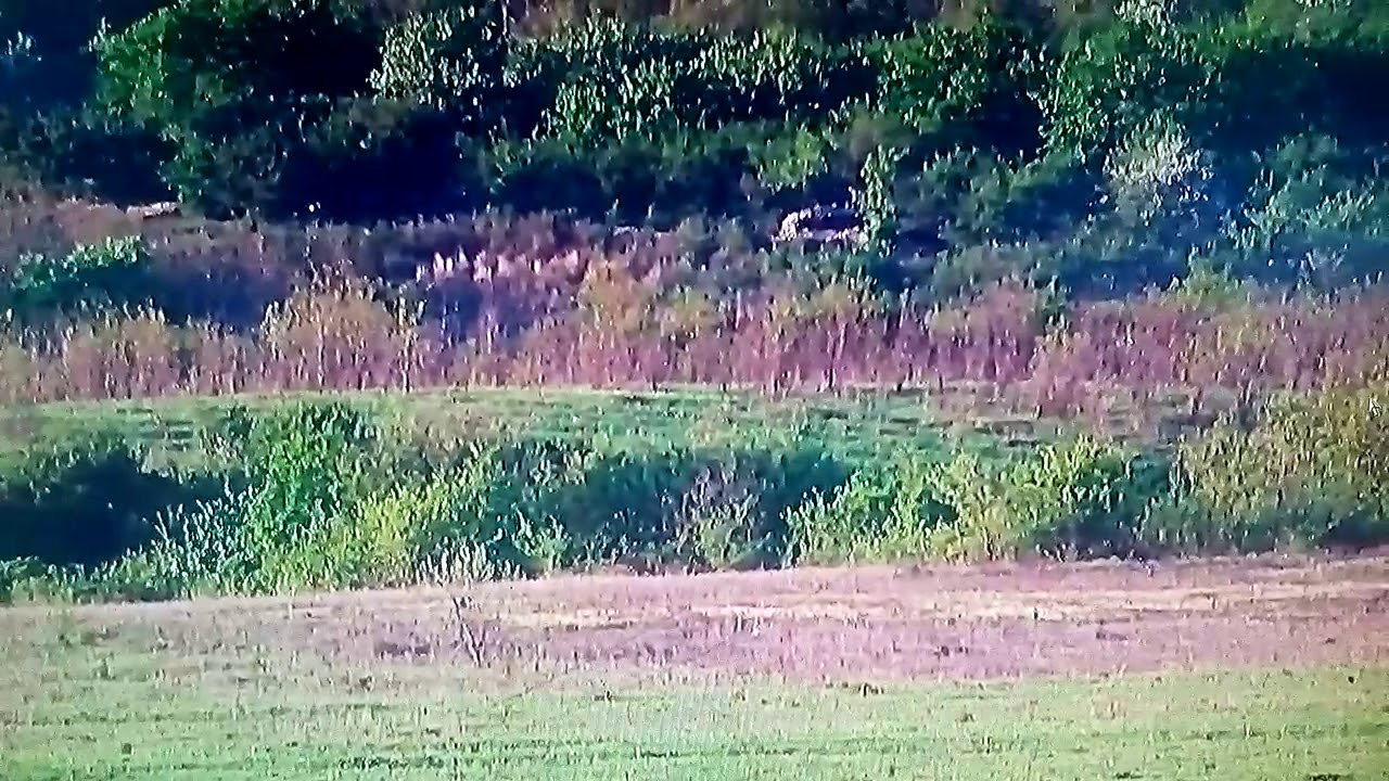 82мм. Миномет «поднос» - YouTube