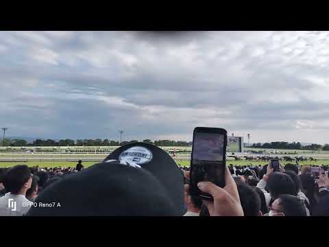 【秋華賞2023】現地映像　4コーナー〜直線(リバティアイランド三冠)