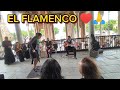 FLAMENCO de Sevilla España 2024 Ep.262 | Plaza de España #flamenco #sevilla #pblove
