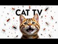 CAT GAMES - Video For Cats to Watch | Keep Your Cat Entertained All Day Episode 19 | 3 HOURS 🐝🦎🐭