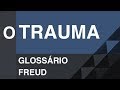 O trauma - Glossário Freud | Christian Dunker | Falando daquilo 14