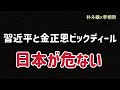 (2026.6.17)習近平と金正恩ビックディール日本が危ない