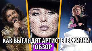 UTKA | УТКА -  Как же выглядят артисты в повседневной жизни [Maruv, Lady Gaga, Киркоров, Madonna]