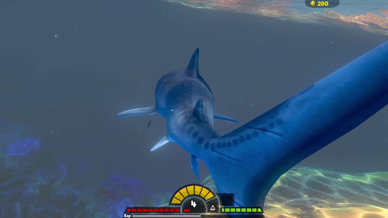 fish feed and grow great white shark fish feed and grow great white shark