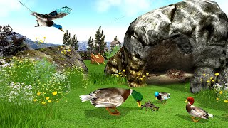 Duck Family Simulator 3D Games|| Android Gameplay screenshot 4