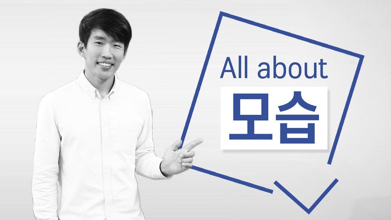 What does 모습 really mean?