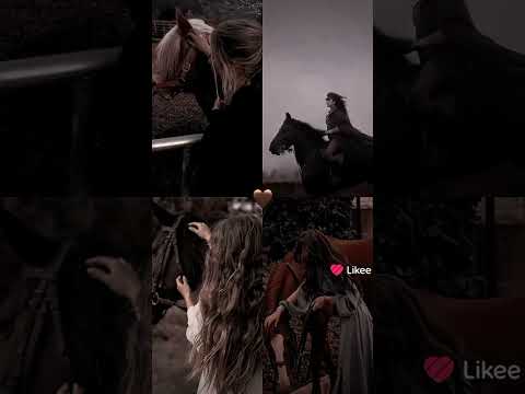 ما كل من قال أنا فارس يستحق مهرة