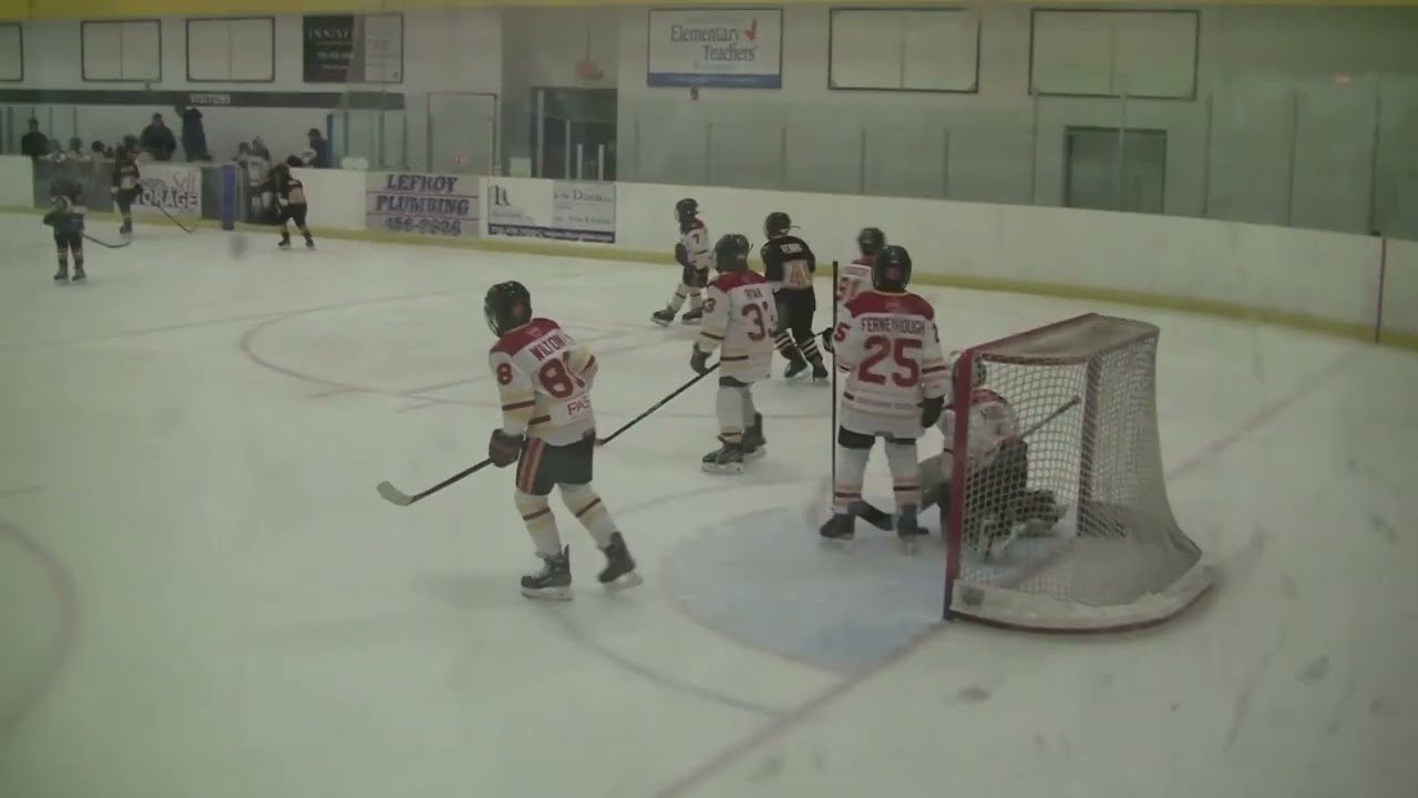 Waterloo Wolves 3 Guelph Gryphons 1