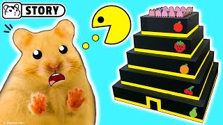 Hamsters in the Pac-Man Pyramid maze 😀 Homura Ham
