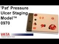 0980 - 'Pat' Pressure Ulcer Staging Model™