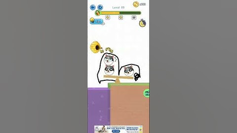 save the dog level 80