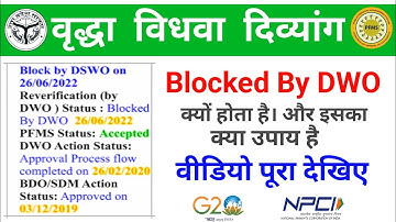 UP Pension Blocked By DWO | Blocked By Dwo | Old Age Pension | Widow Pension | Divyang Pension