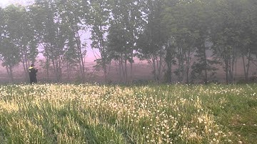 Rc8.2e FT bashing big jump burn track