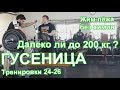 ГУСЕНИЦА по Суровецкому А.Е. Видео: 10 "Далеко ли до 200 кг?"