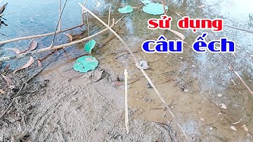 Cần câu cắm ếch, 2 cách sử dụng cơ bản và hiệu quả