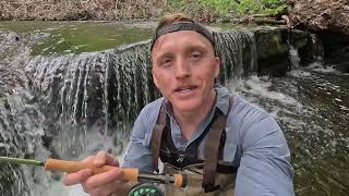 BEST Kept Secret in Shenandoah! Hiking and Camping on the BIG RUN!