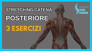 3 Exercises To Stretch The Posterior Muscle Chain