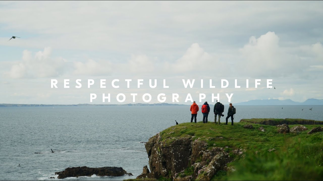 Respectful wildlife photography with Nikon Creators Lara Jackson and George Turner