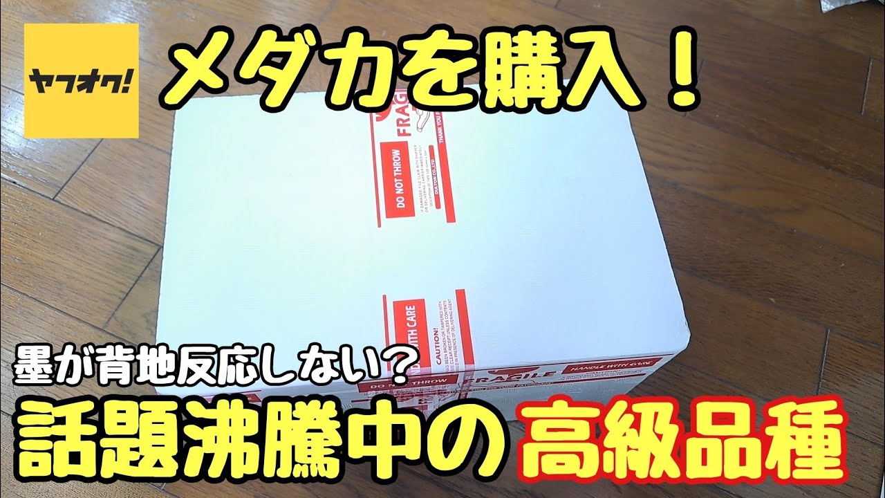 ヤフオクで話題沸騰中のめだかを購入！背地反応しない墨とは?!【メダカ