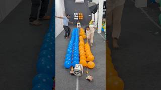200 Epic Balloon Popping Challenge - The Ultimate Showdown ! 32 - #shorts