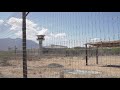 Captive lions and prison