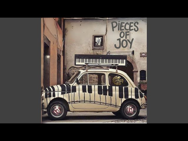 Pieces of Joy