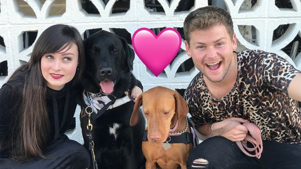 why does drew lynch need service dog why does drew lynch need service dog