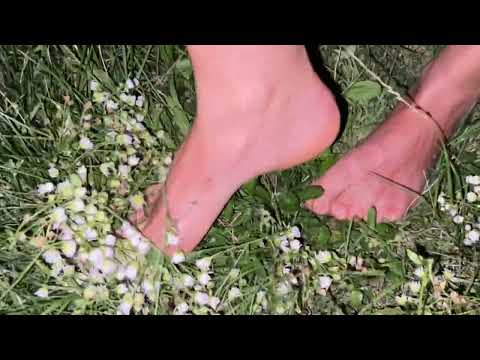 sounds of a summer night and barefoot relaxation