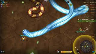 Little Big Snake tập 2 cuốn tròn theo cách vip pro Đăng Khang Studio