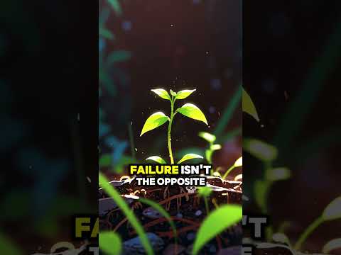 Embrace Failure #embracefailure