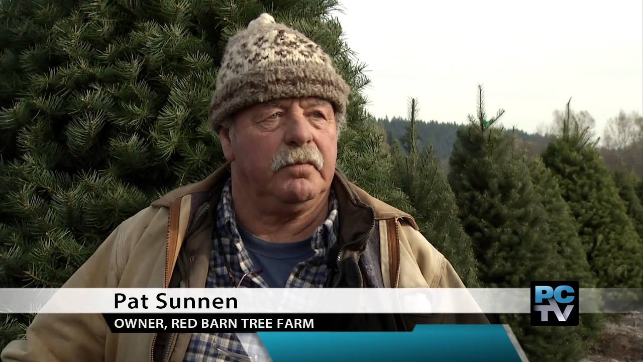 Meet The Farmer Red Barn Tree Farm Brings Tradition To Holiday