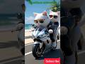 Beautiful cat couple Date #cat#shorts#cats#shortsvideo #catshorts#story#kitten#goviral #trending