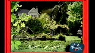 Flybuys advertisement 2002