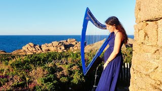 Floating from the Skerry - Celtic music - Celtic harp &amp; low tin whistle