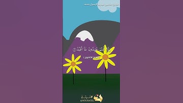 سورة الكافرون بصوت القارئ الحسين عبدرب الرسول #القرآن_الكريم #القرآن_الكريم #اكسبلور #المصحف #لايك