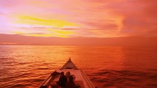 Background Video Pemandangan Sunset di tengah lautan // No Copyright Footage FHD4K