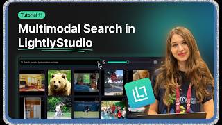 Multimodal Search in LightlyStudio - Search Your Dataset by Image