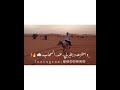 فرقة الشيمات الحربية   التراث الاولي نجومي