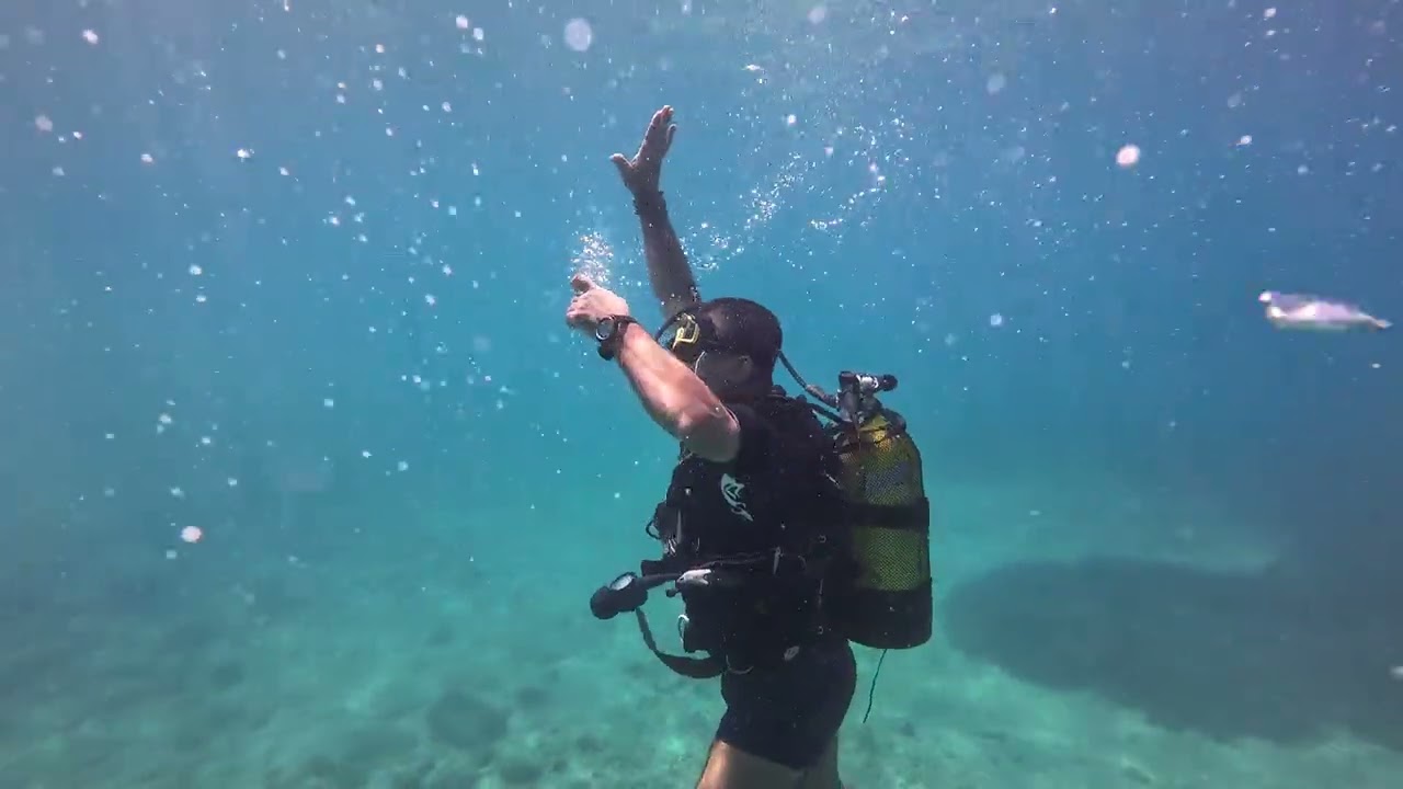 Dalış Eğitim Videosu Tssf&Cmas 1 Yıldız Dalıcı Kursu Kontrollü Yükselme 