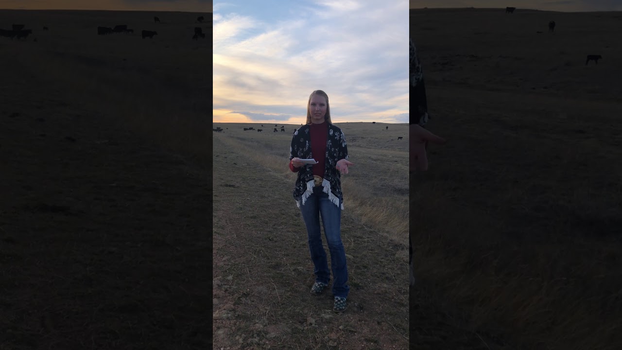 Methane Production-Amber Taylor