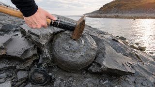 Cracking Open Ancient Nodules for Hidden Treasures!